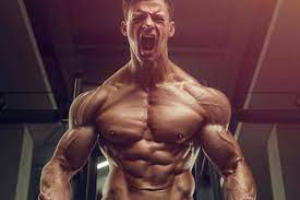 Best Legal Steroids For Sale: 2023 Top Muscle Growth …